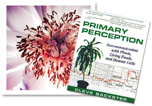 Primary Perception' Demonstrates the Interconnectedness of All Life 