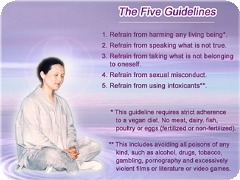 The Five Guidelines