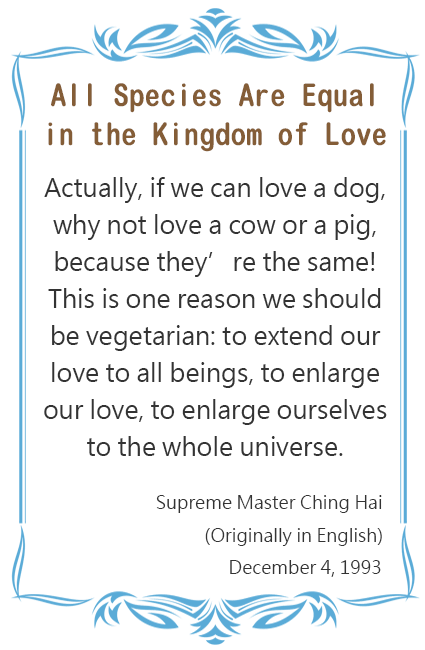 All Species Are Equal in the Kingdom of Love